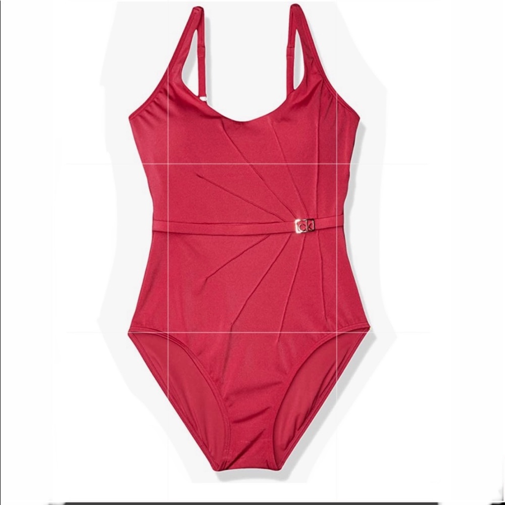CALVIN KLIEN Belted Rosebud Shimmer Swimsuit - Picture 5 of 14